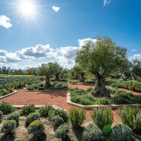Cortijo La Almazara روندا