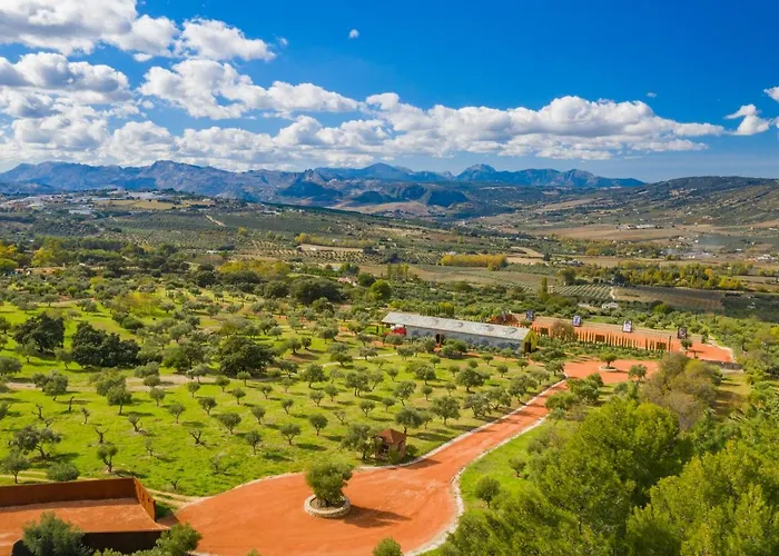 Cortijo La Almazara 호텔 3*