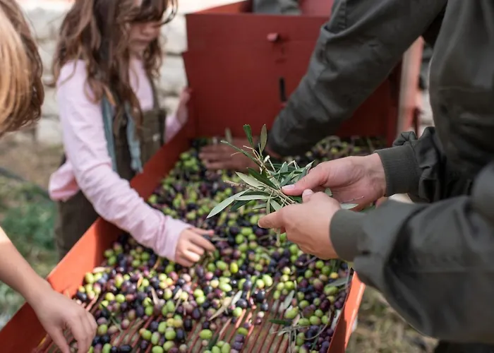 Cortijo La Almazara 3*