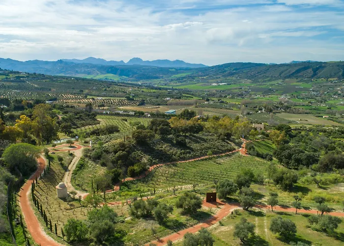 호텔 Cortijo La Almazara 3*