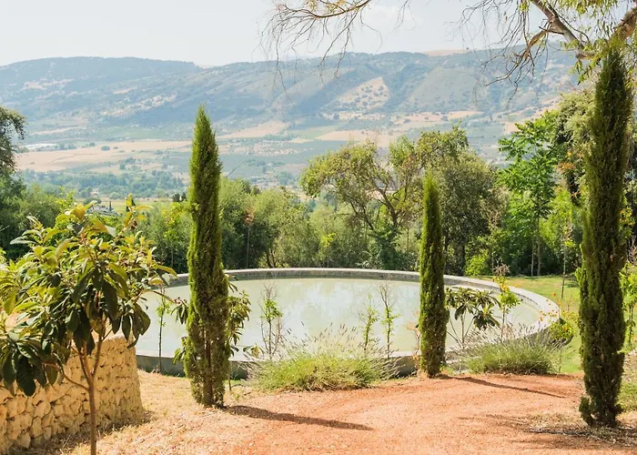 Cortijo La Almazara ホテル 3*