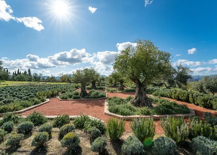Cortijo La Almazara ロンダ